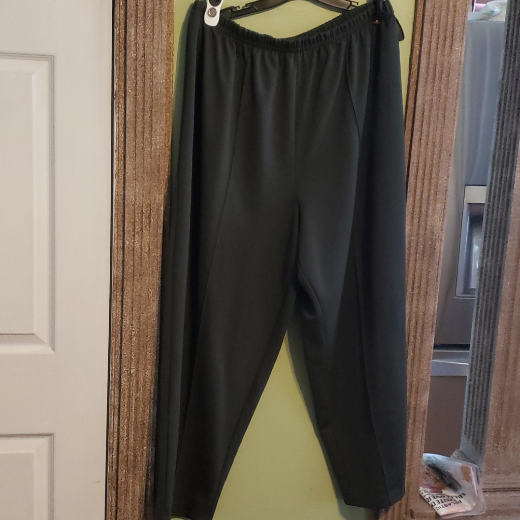 Roamans Plus Size Pants 262